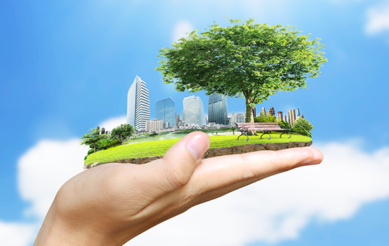 human hand holding city